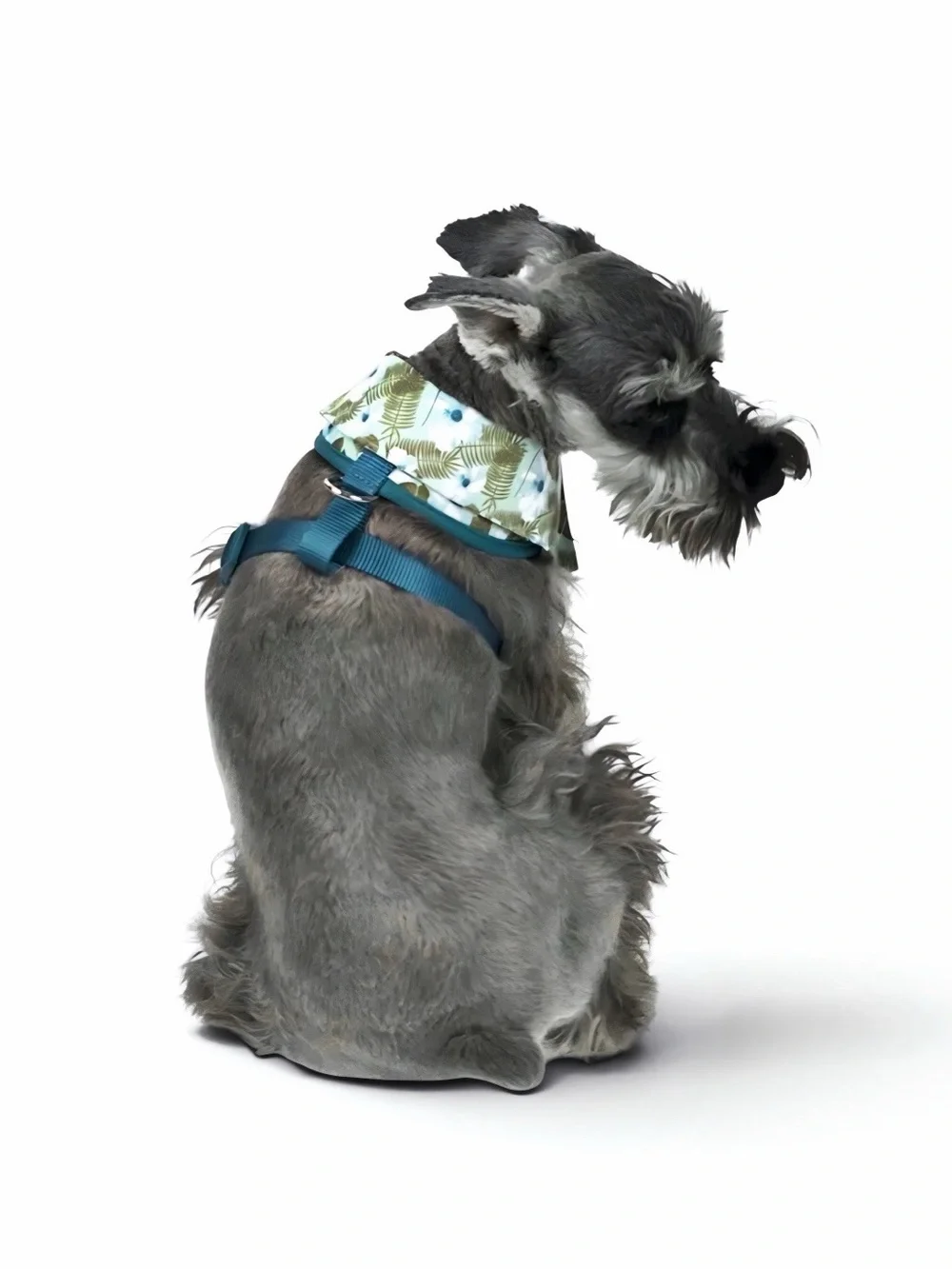 Vibrant Life Dog Hawaiian Shirt Harness